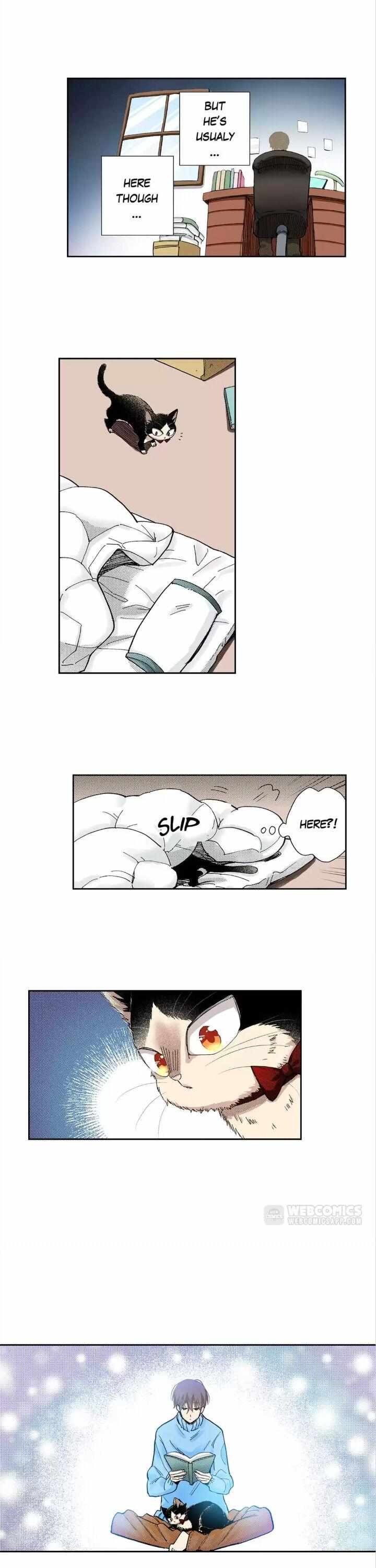 Page 12 of Chapter 35