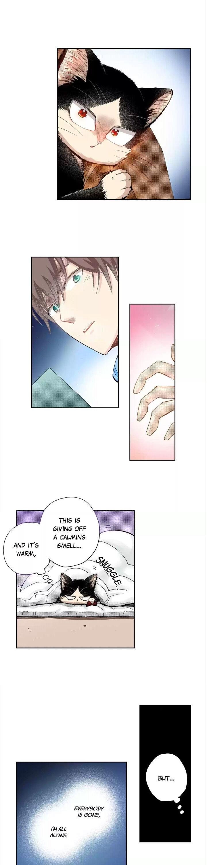 Page 13 of Chapter 35