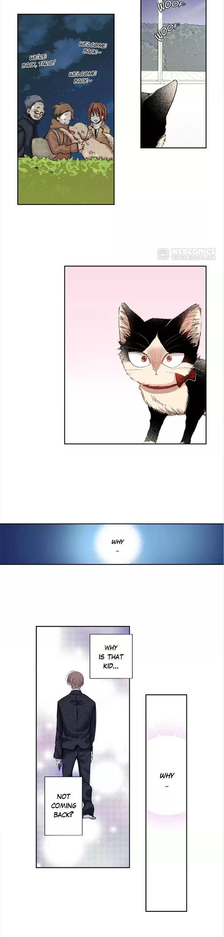Page 17 of Chapter 35