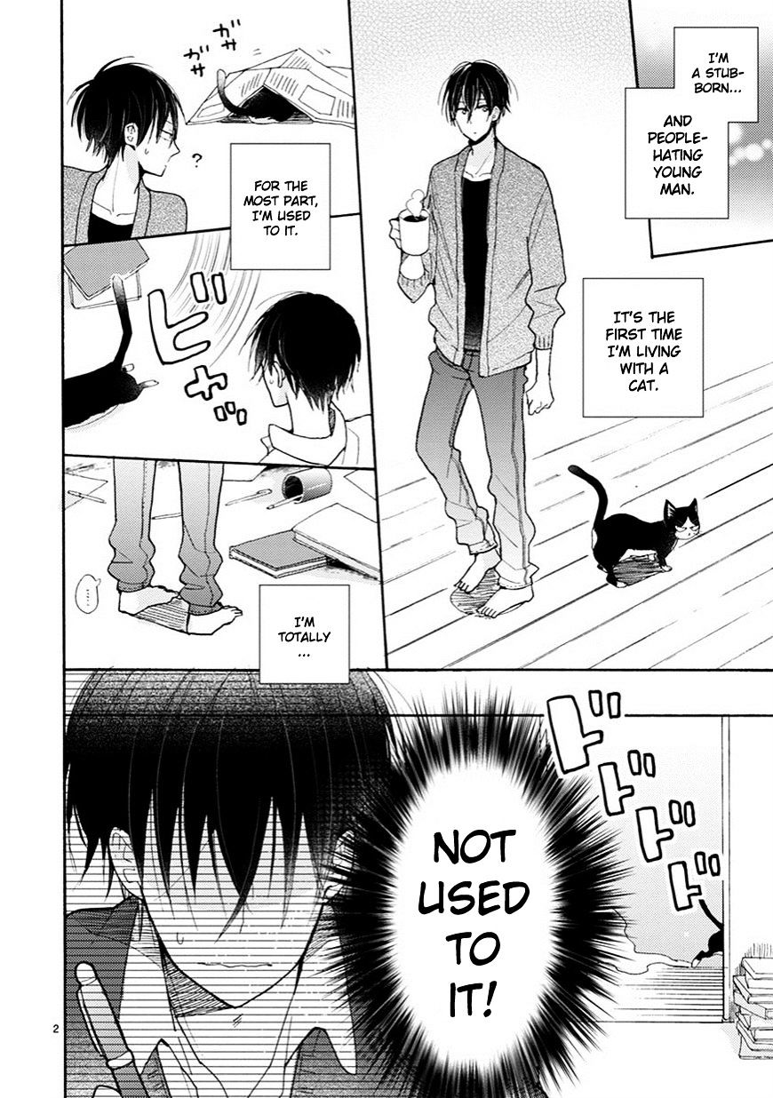 Page 3 of Chapter 4