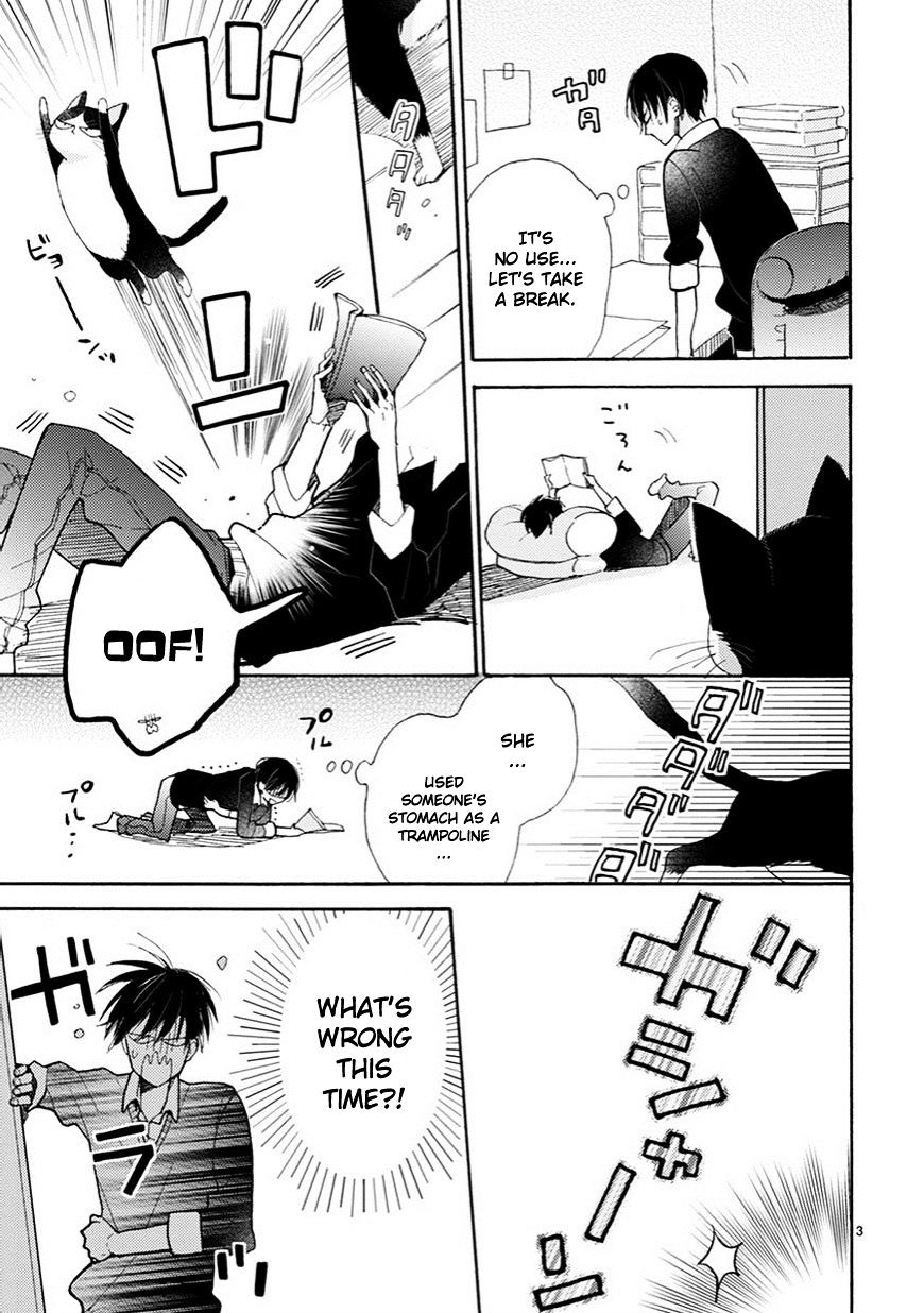 Page 4 of Chapter 4