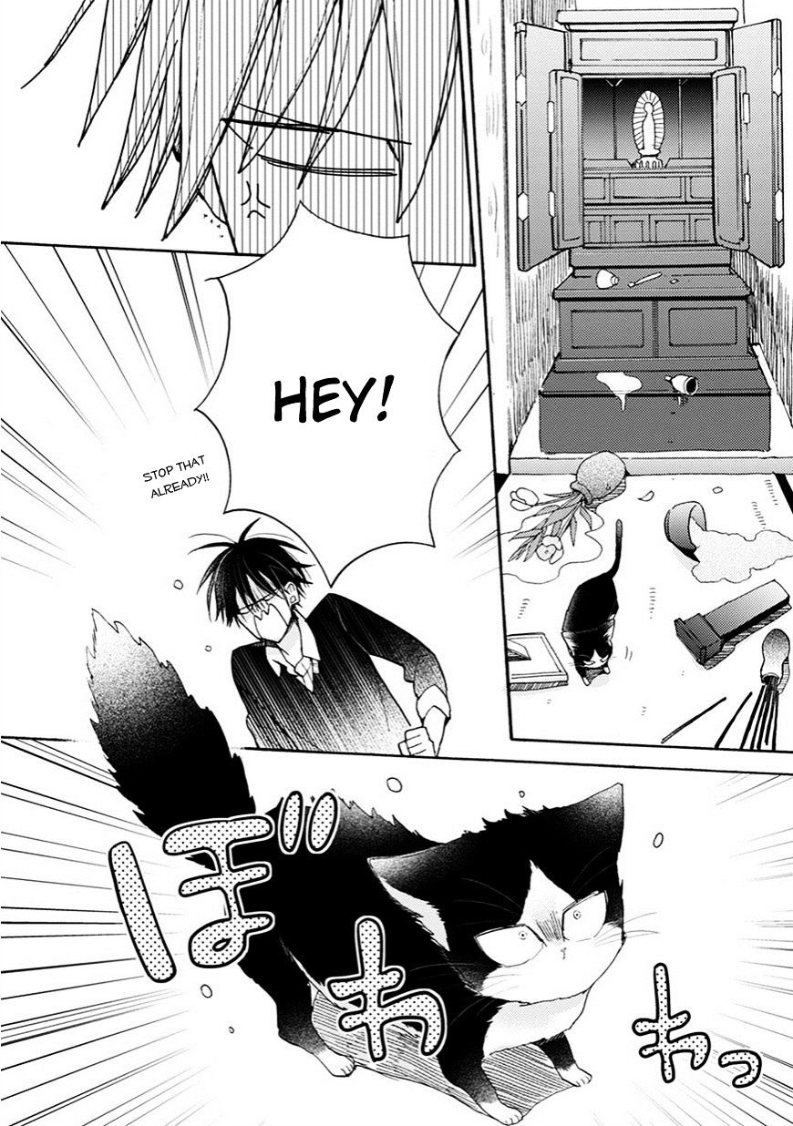 Page 5 of Chapter 4