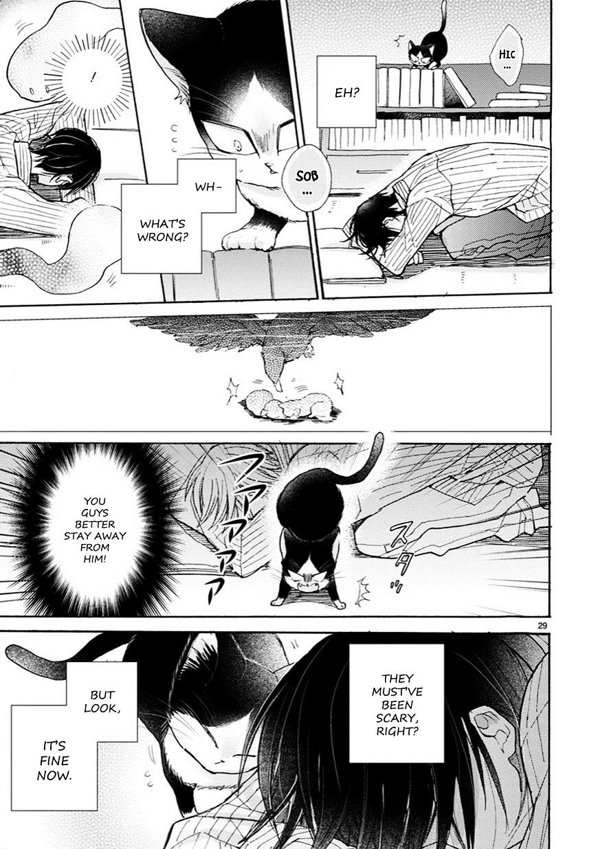 Page 8 of Chapter 4.5