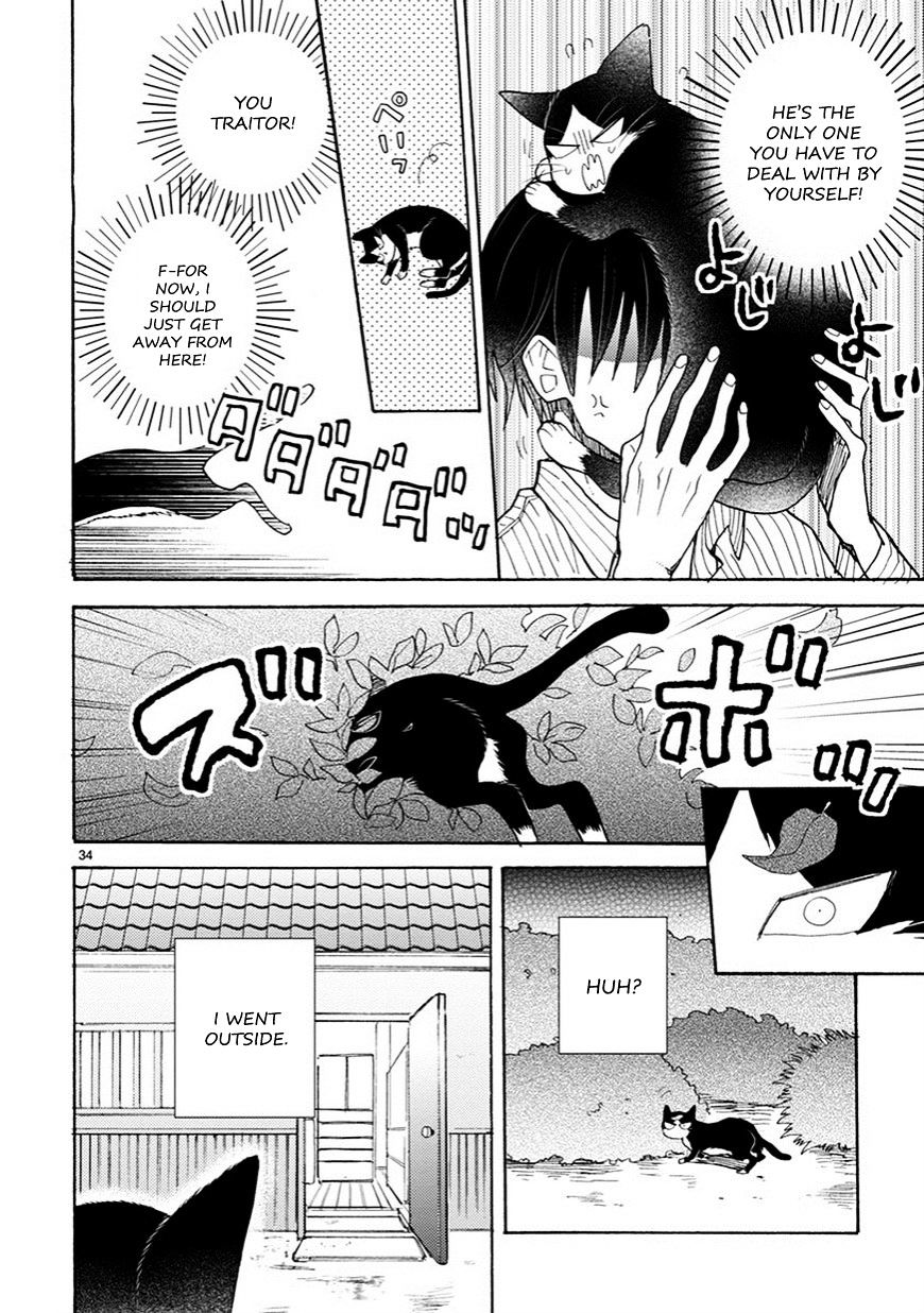 Page 13 of Chapter 4.5