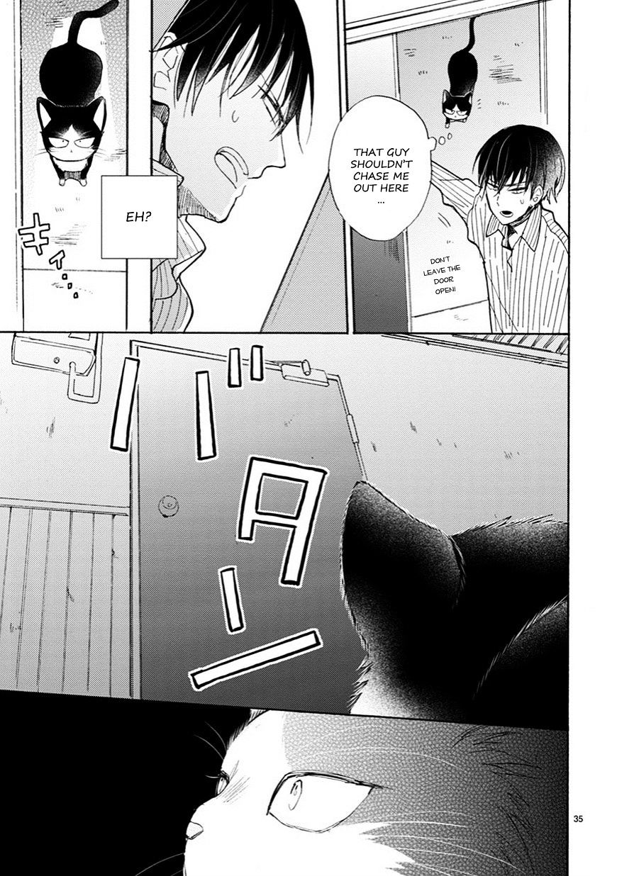 Page 14 of Chapter 4.5