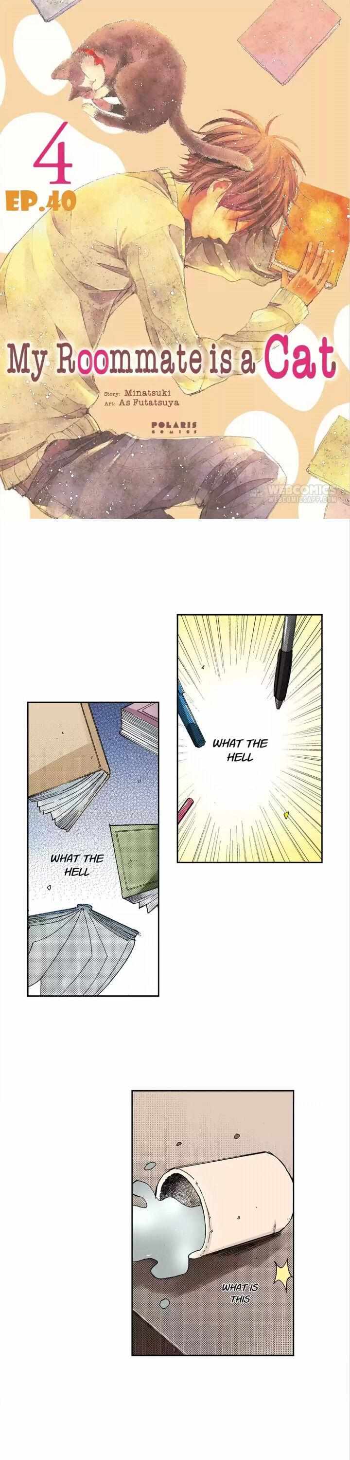 Page 3 of Chapter 40