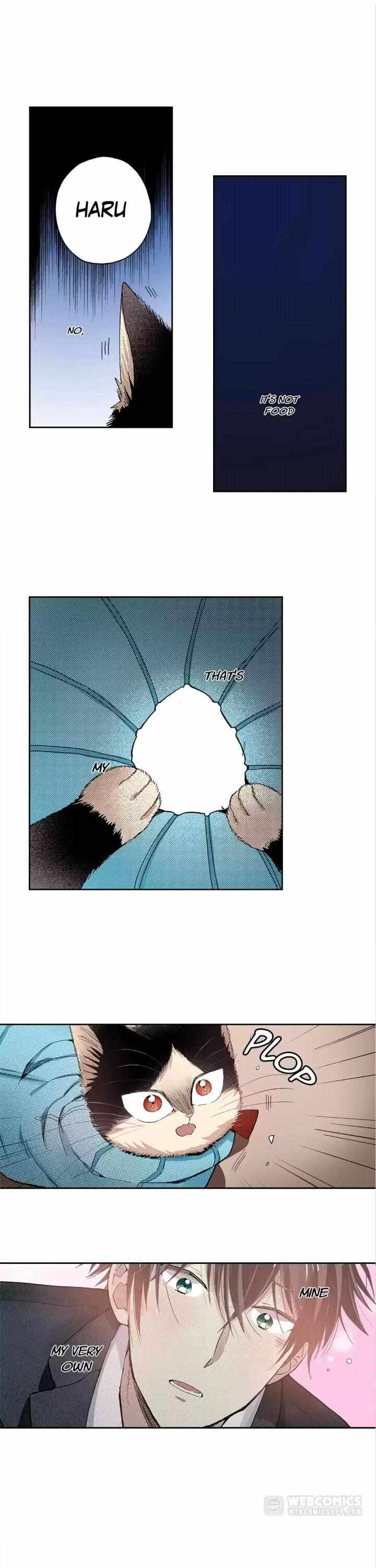 Page 11 of Chapter 40