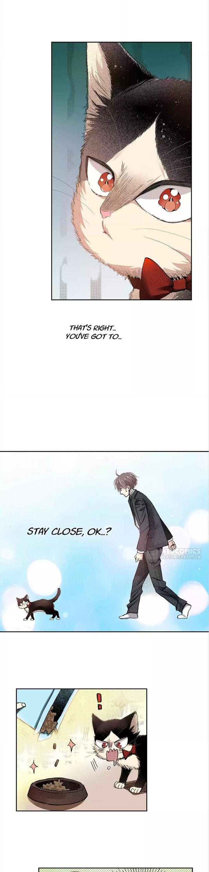 Page 16 of Chapter 40