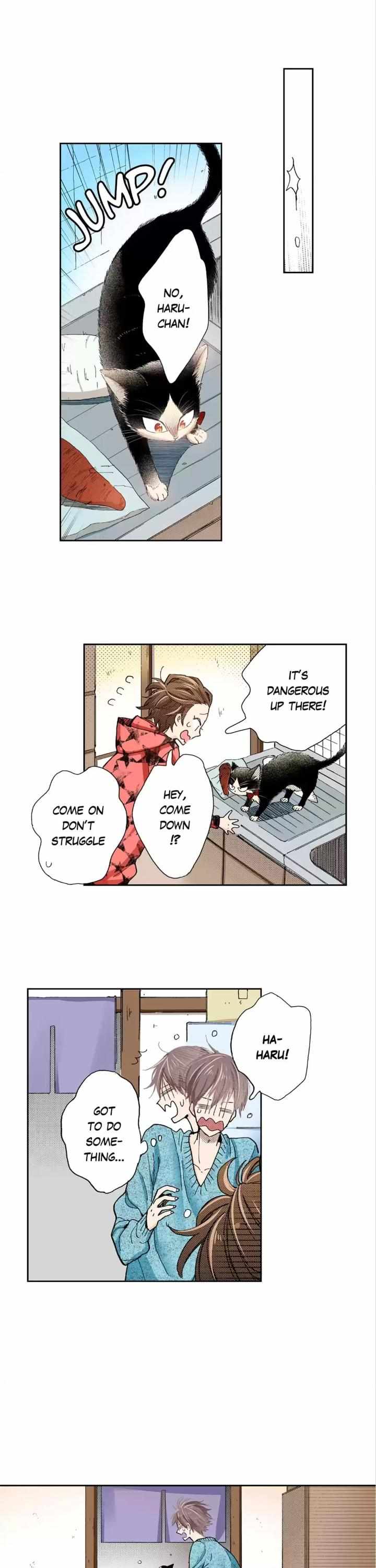 Page 12 of Chapter 41
