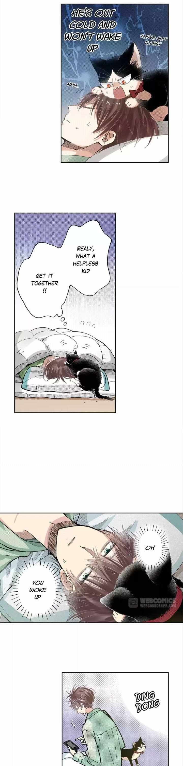 Page 3 of Chapter 43