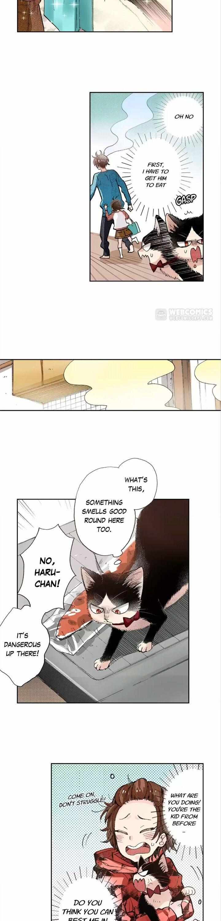 Page 5 of Chapter 43