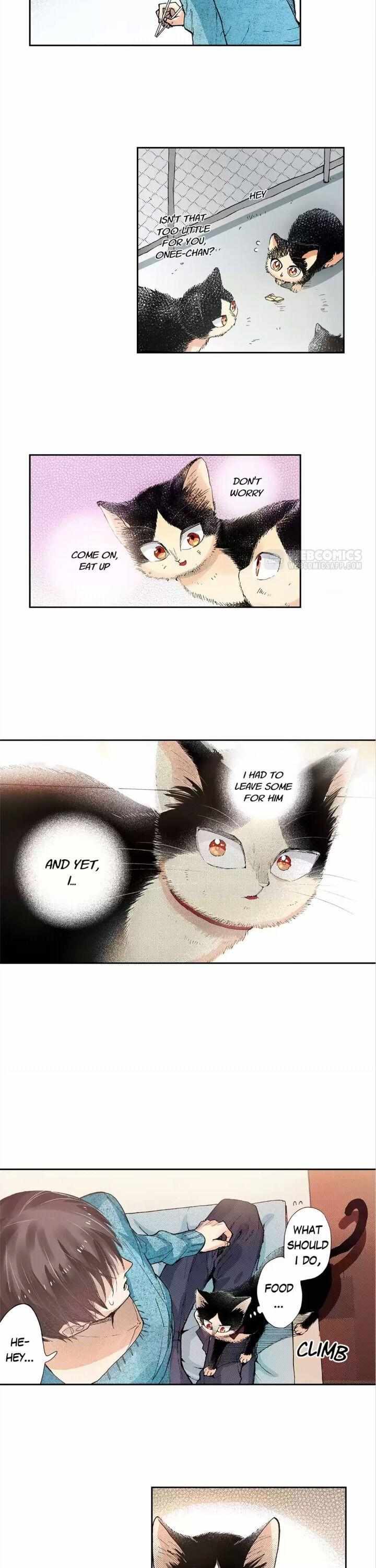 Page 11 of Chapter 43