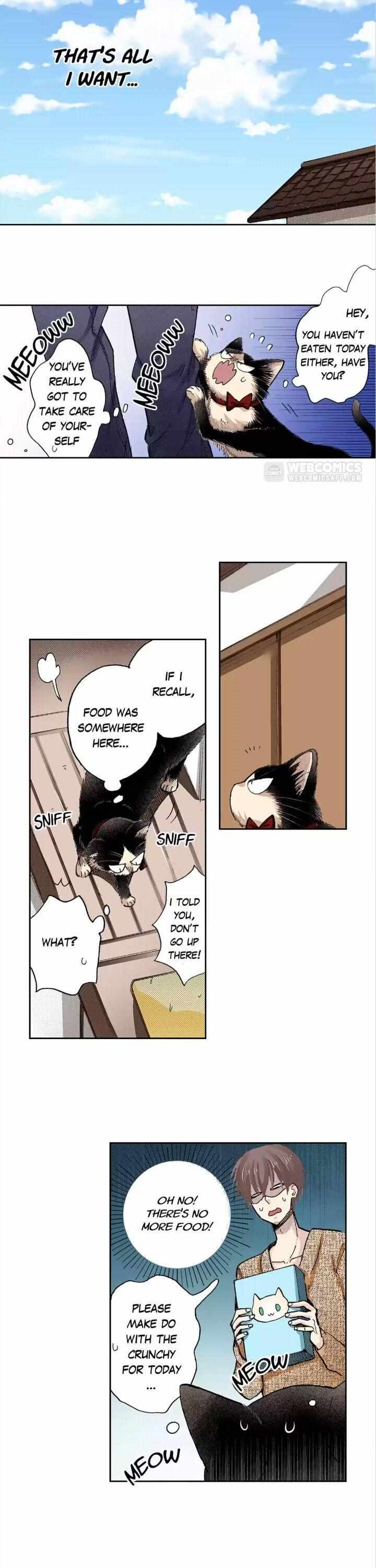 Page 14 of Chapter 43