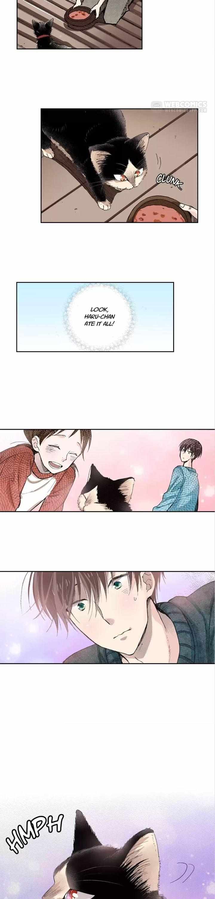 Page 20 of Chapter 44