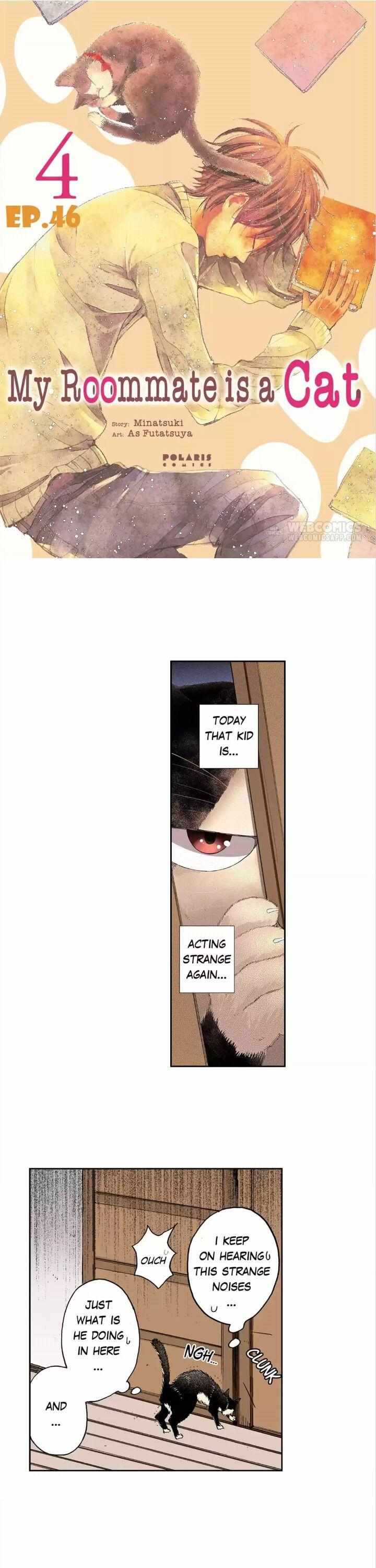 Page 3 of Chapter 46