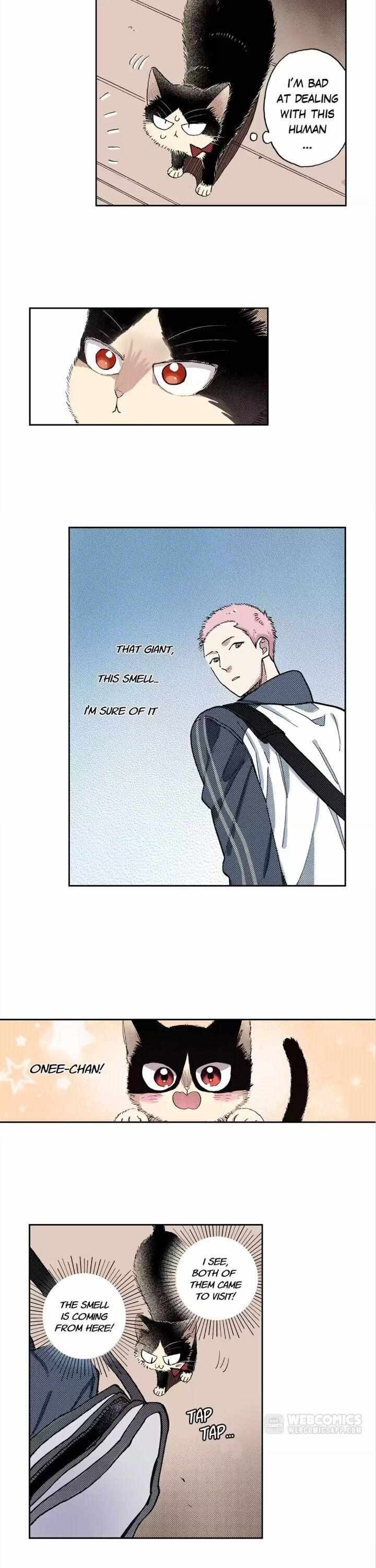 Page 7 of Chapter 46
