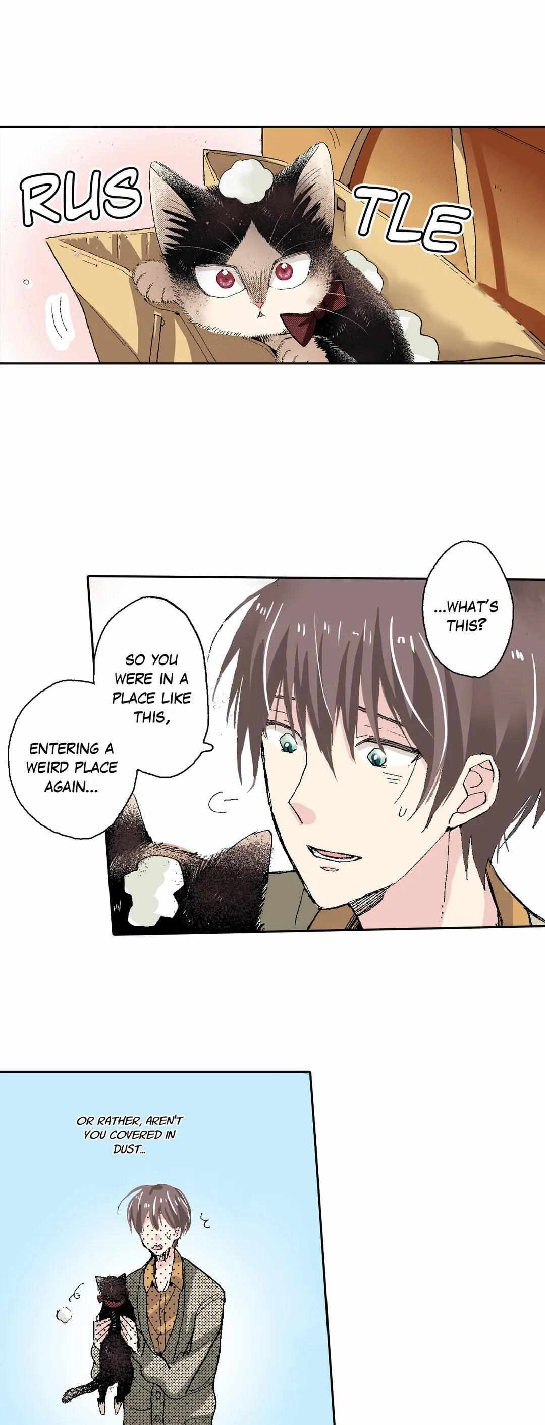 Page 31 of Chapter 48