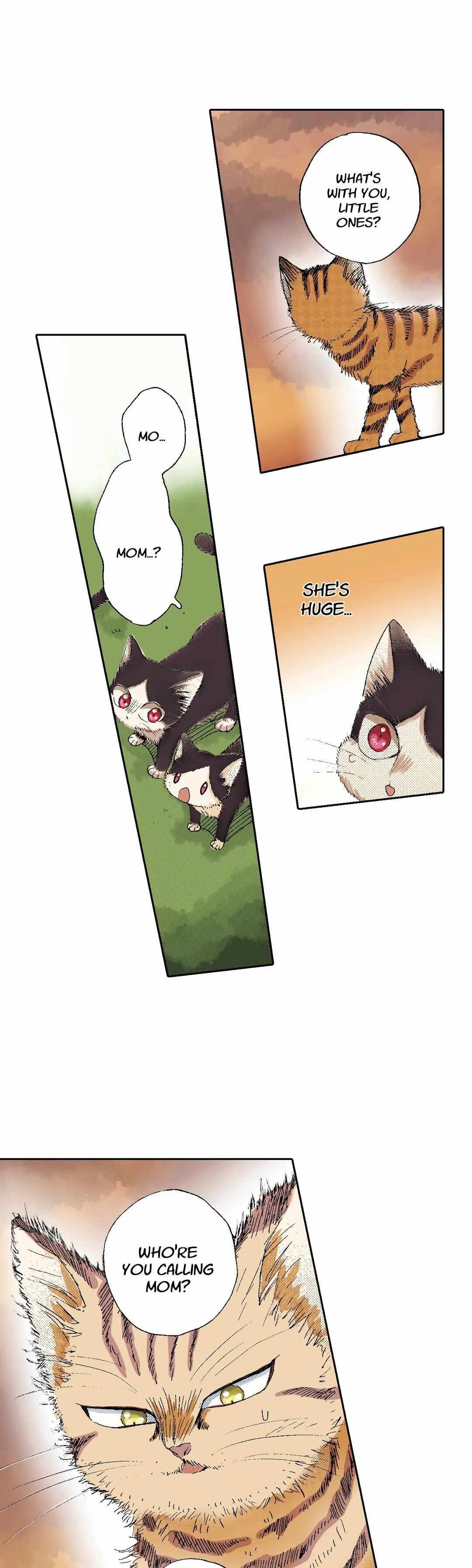 Page 16 of Chapter 49