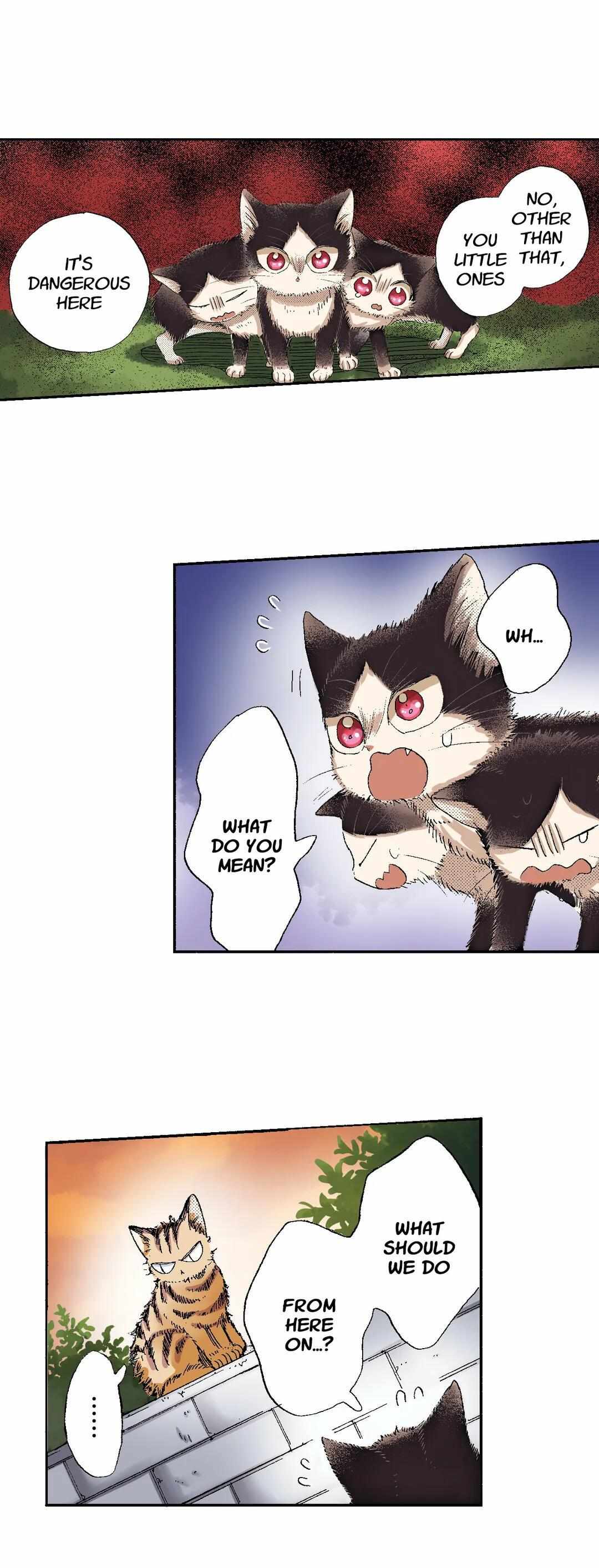 Page 18 of Chapter 49