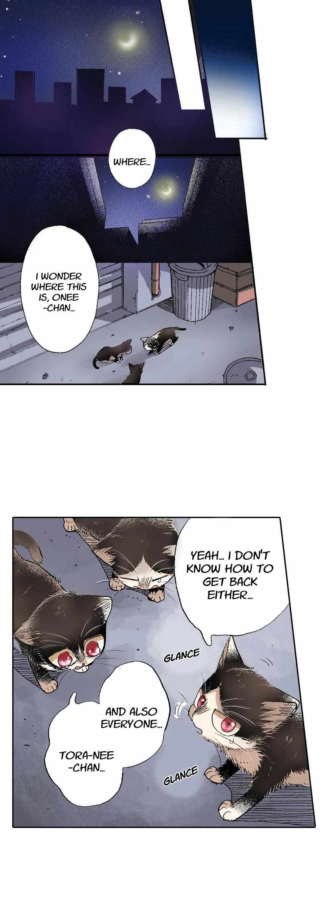 Page 22 of Chapter 50