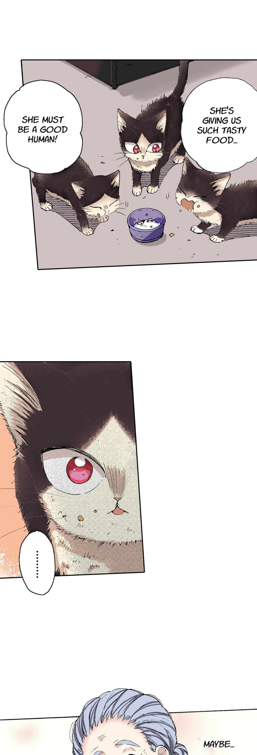 Page 10 of Chapter 51