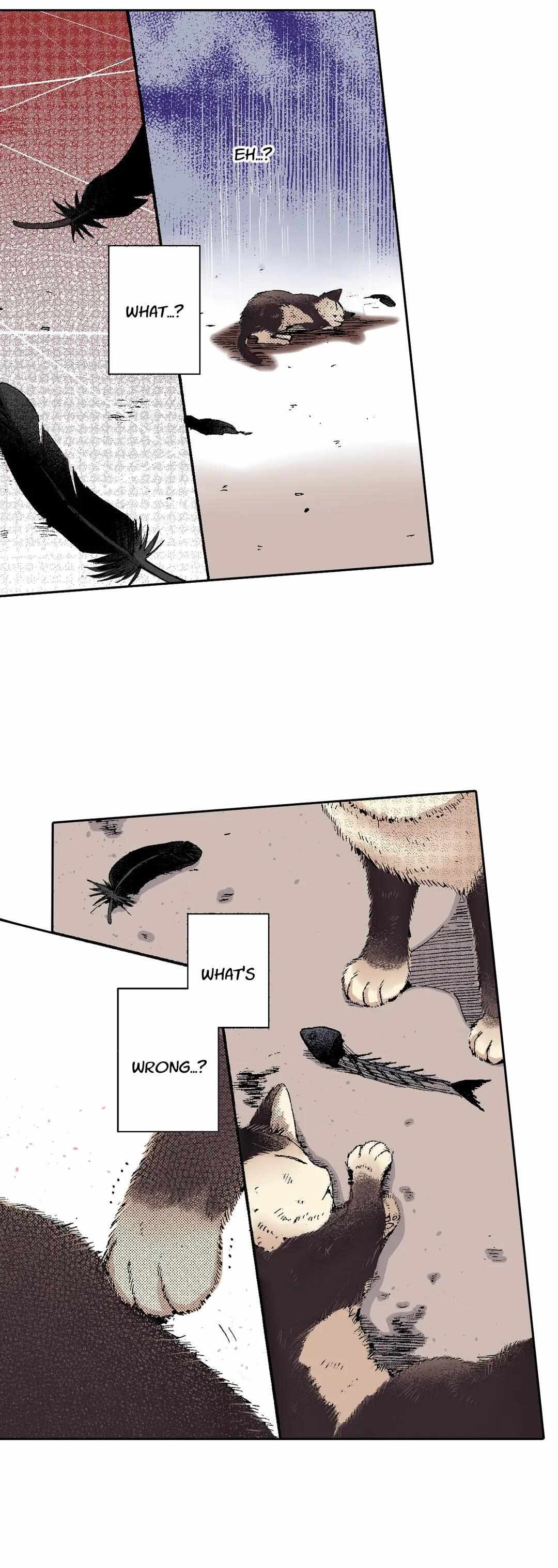 Page 21 of Chapter 51