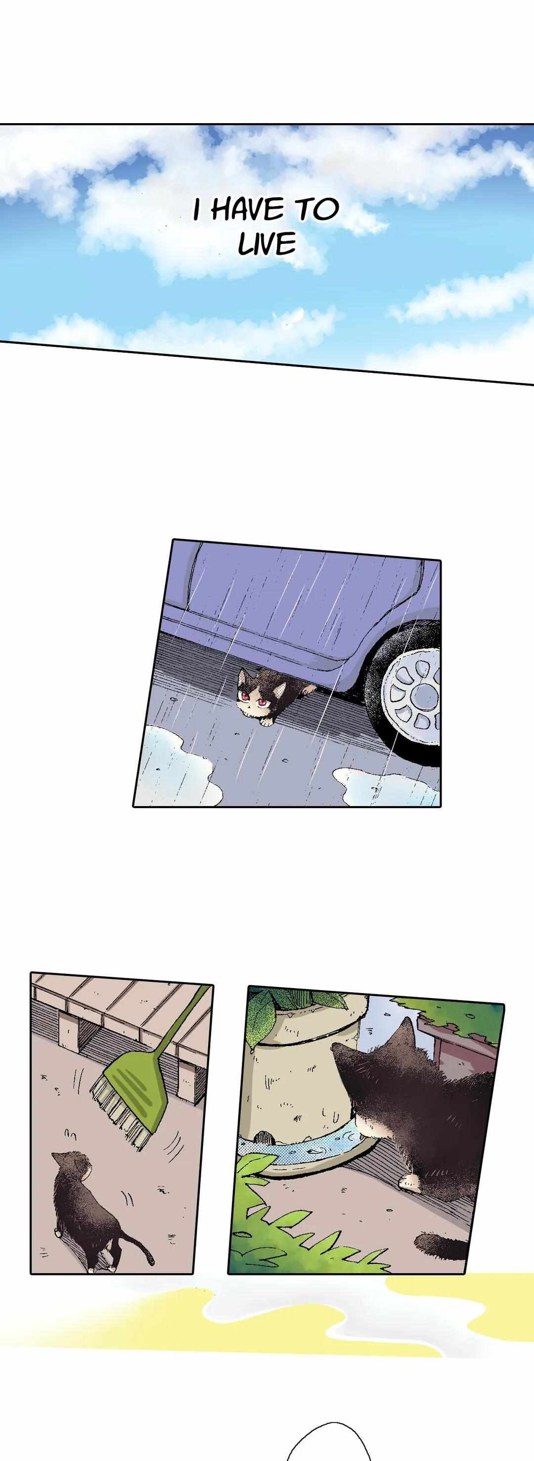 Page 10 of Chapter 52
