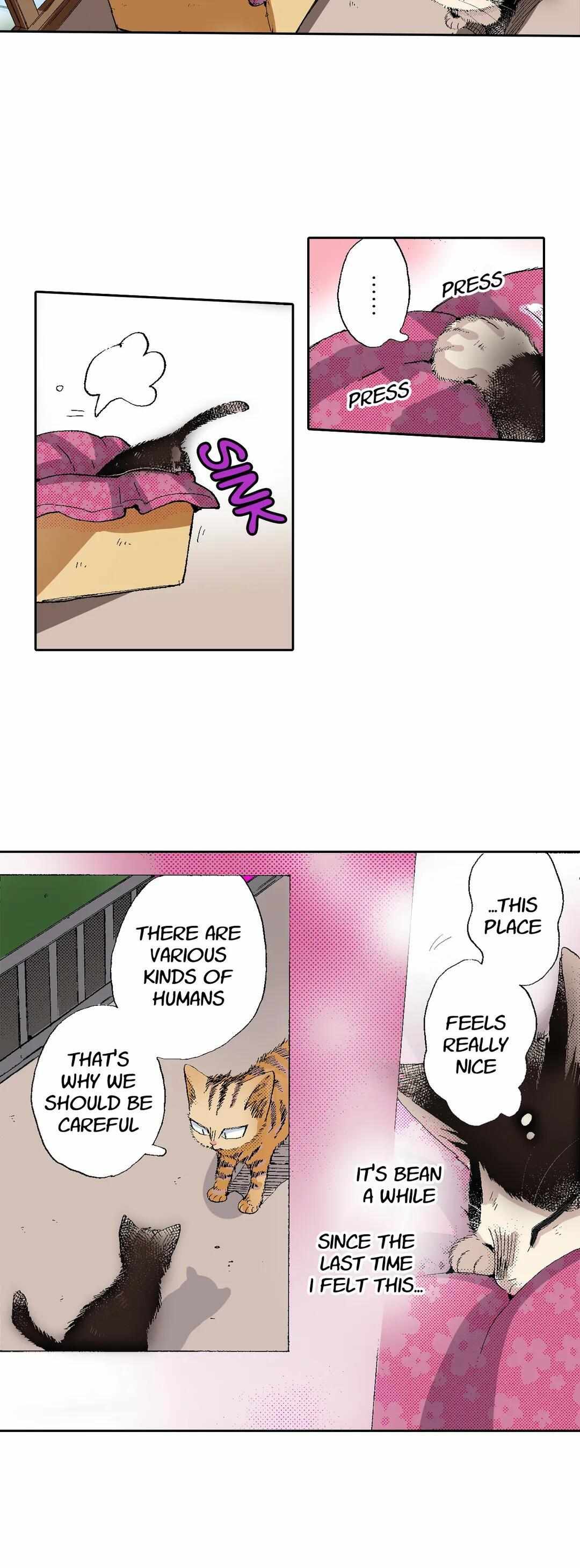 Page 15 of Chapter 53