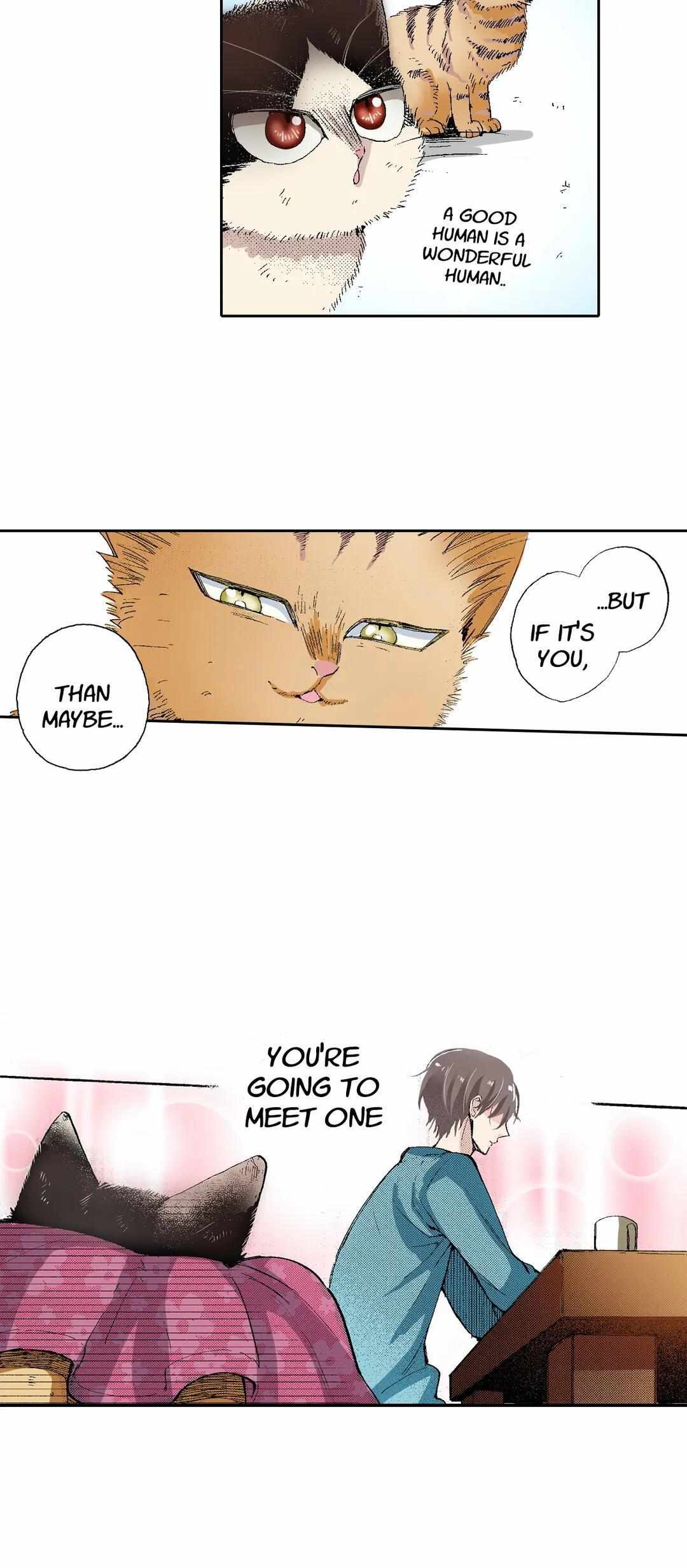 Page 17 of Chapter 53