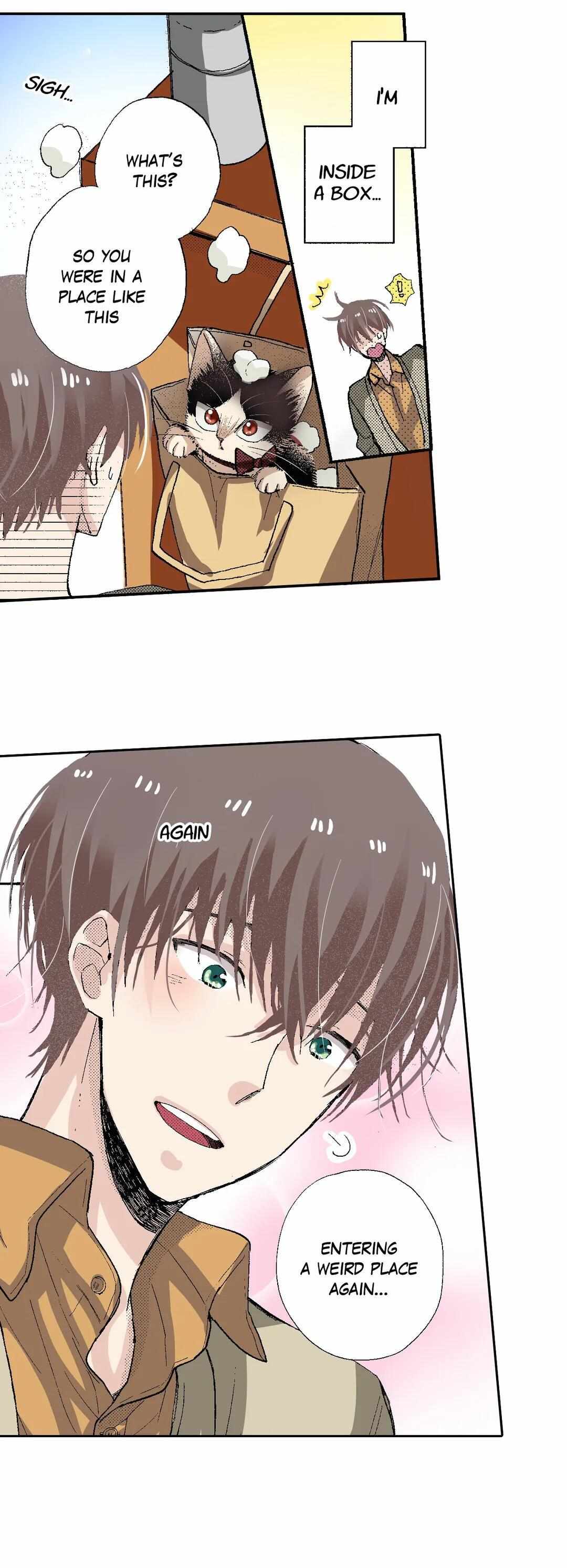 Page 25 of Chapter 53