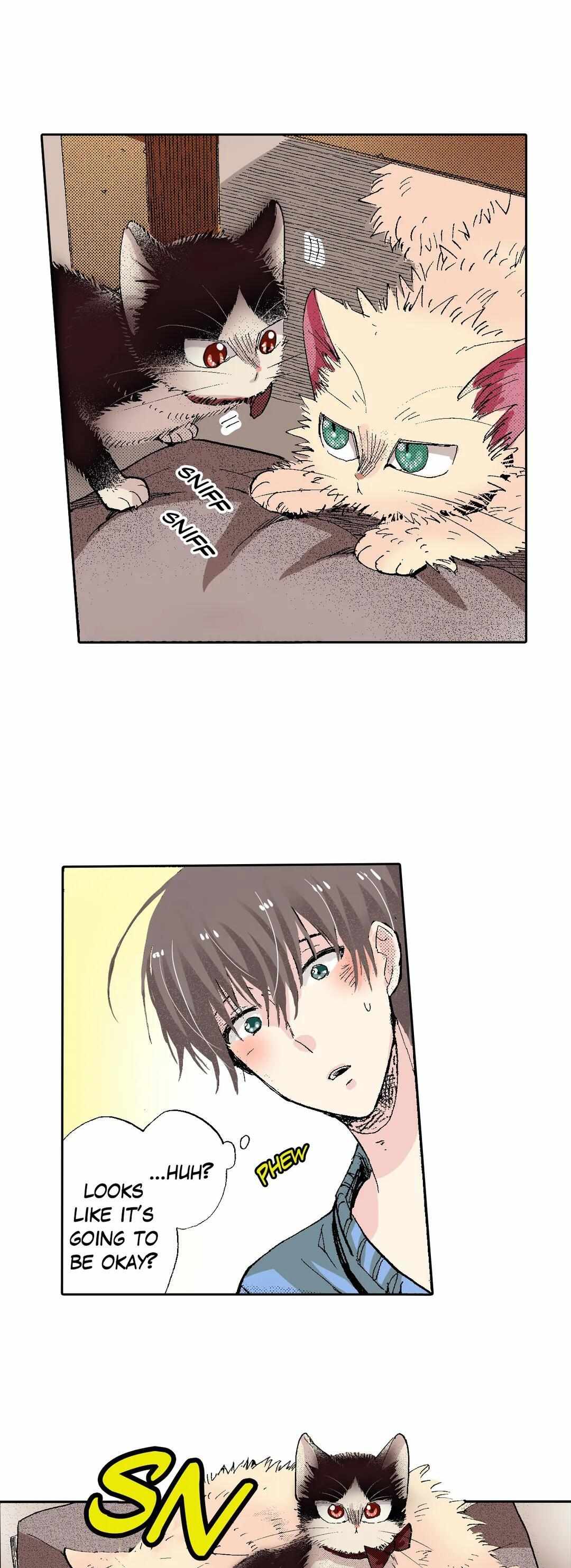 Page 13 of Chapter 54