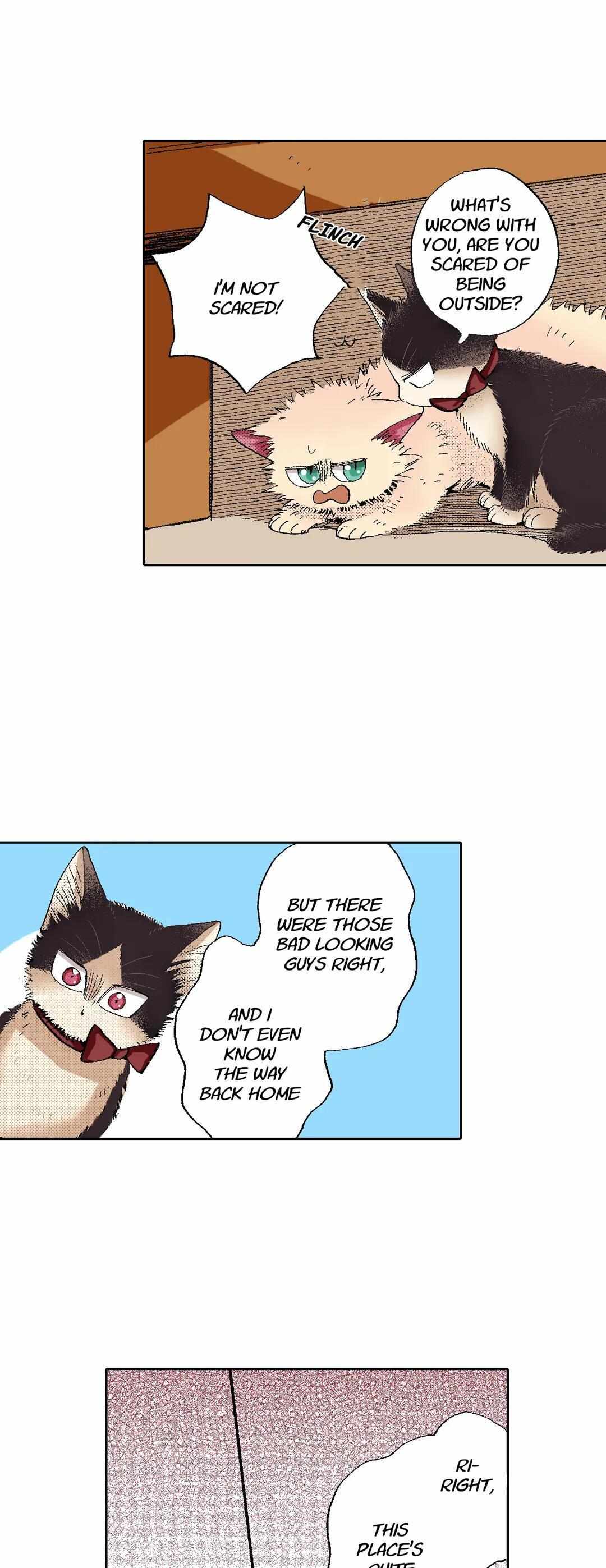 Page 13 of Chapter 55