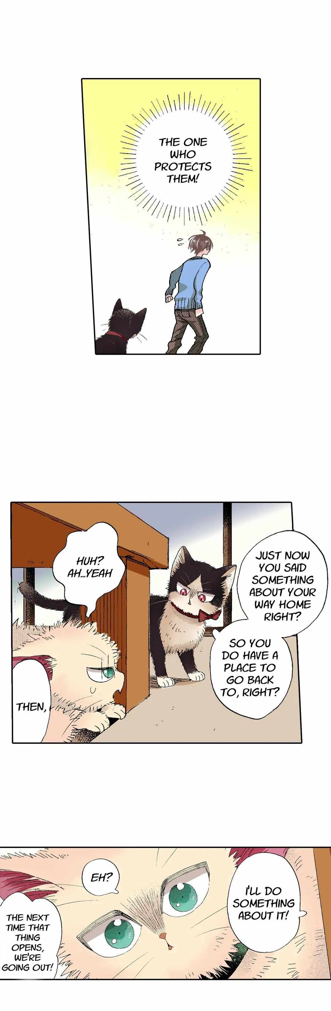 Page 17 of Chapter 55