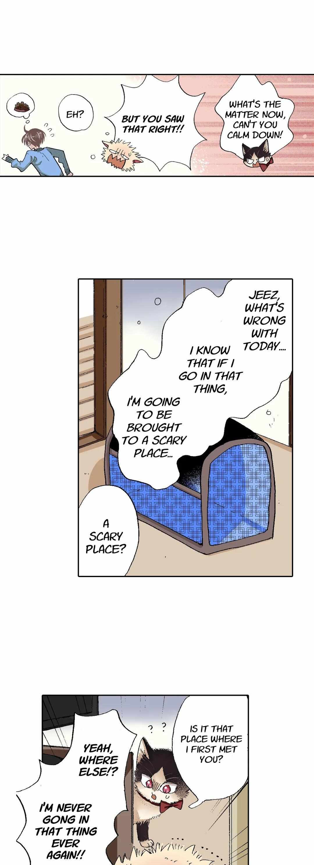 Page 19 of Chapter 55