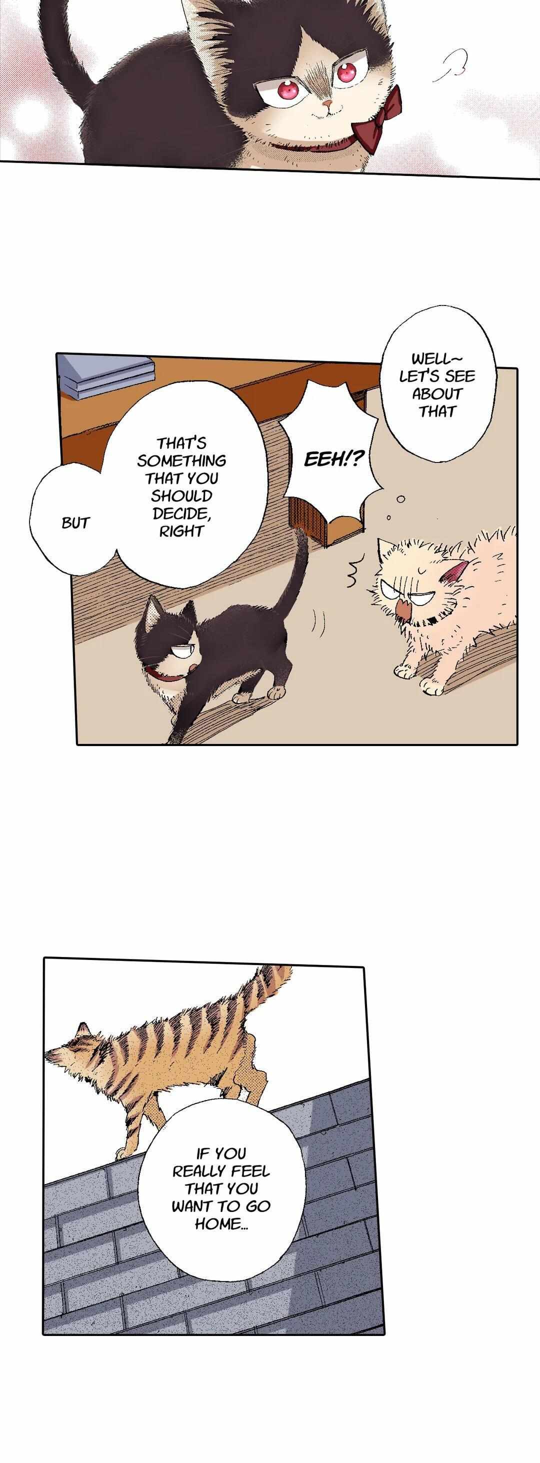 Page 26 of Chapter 55