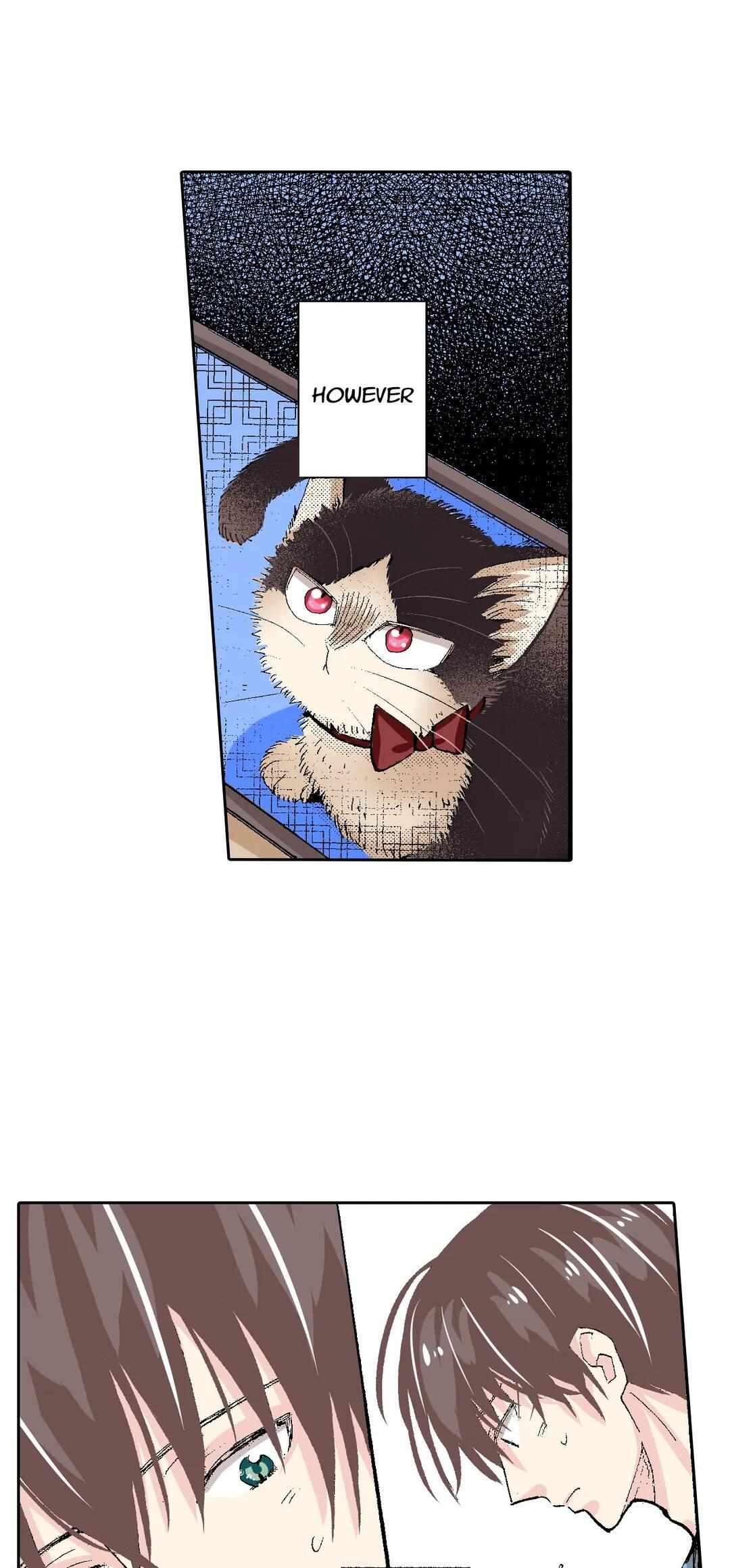 Page 31 of Chapter 55