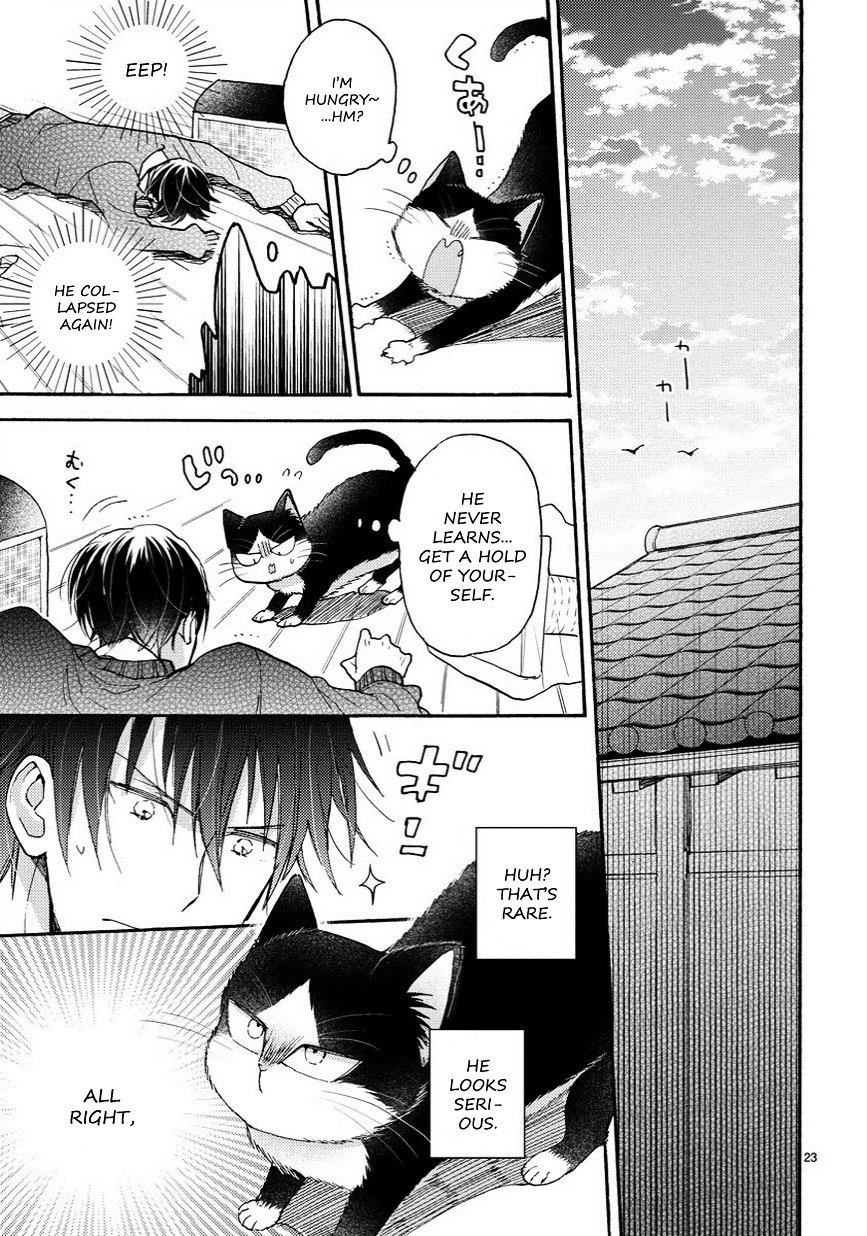 Page 4 of Chapter 6.5