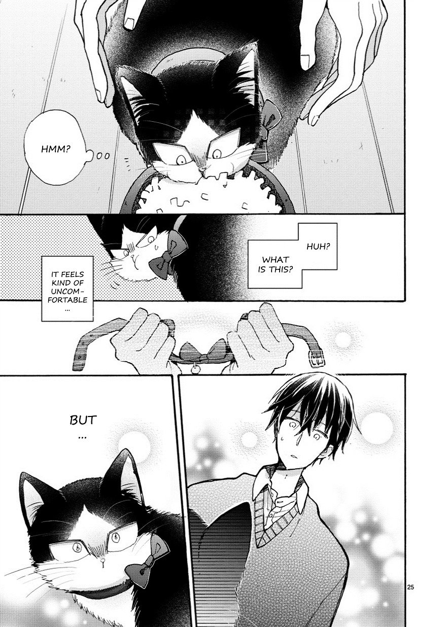 Page 6 of Chapter 6.5