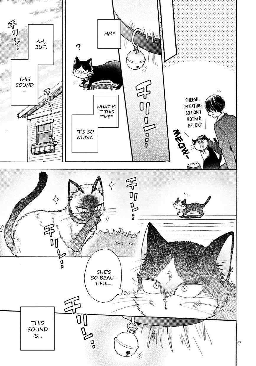 Page 8 of Chapter 6.5