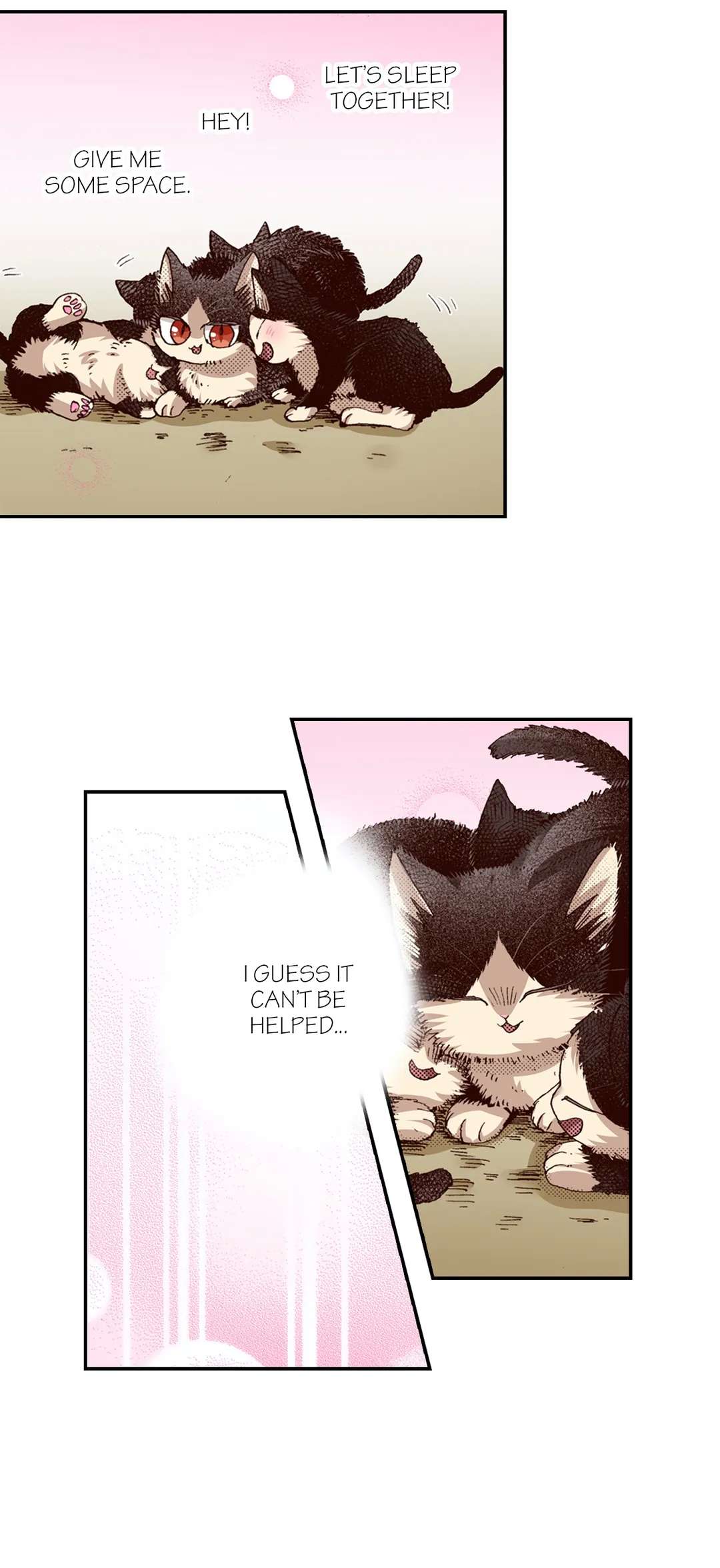 Page 13 of Chapter 65