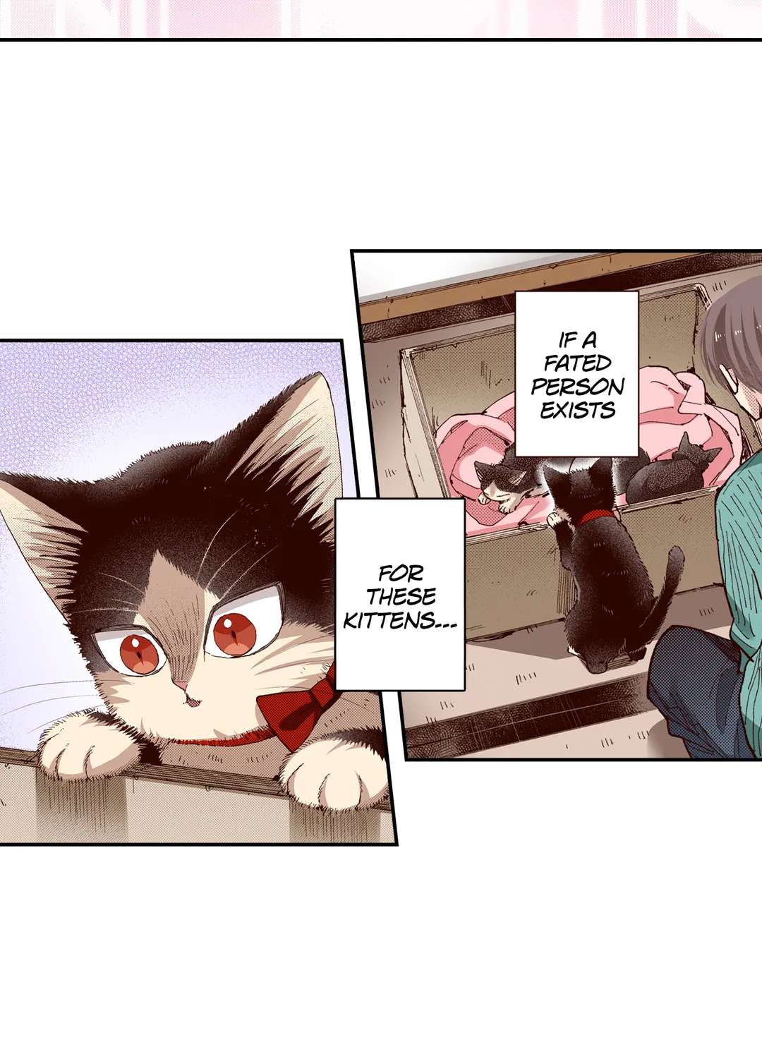 Page 16 of Chapter 66