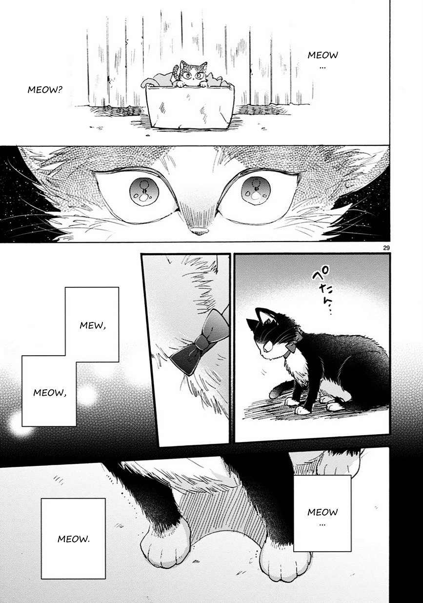 Page 13 of Chapter 7.5