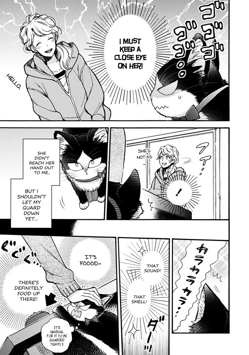 Page 4 of Chapter 8.5
