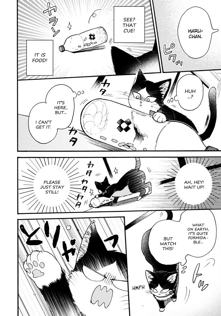 Page 5 of Chapter 8.5