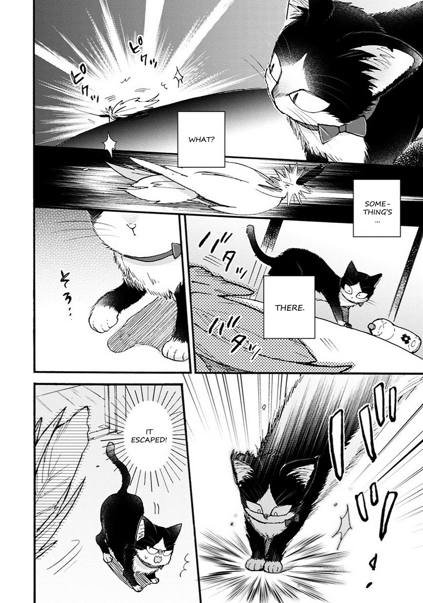 Page 7 of Chapter 8.5