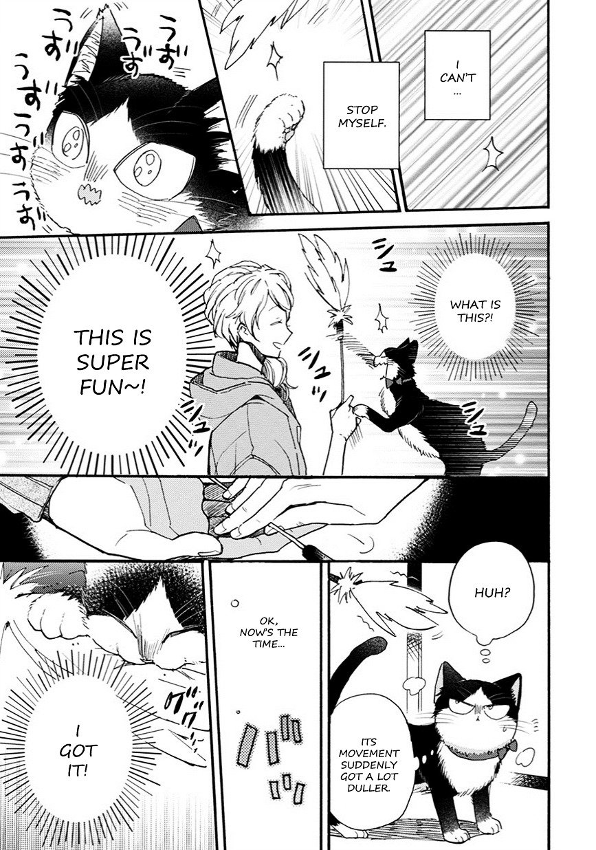 Page 8 of Chapter 8.5