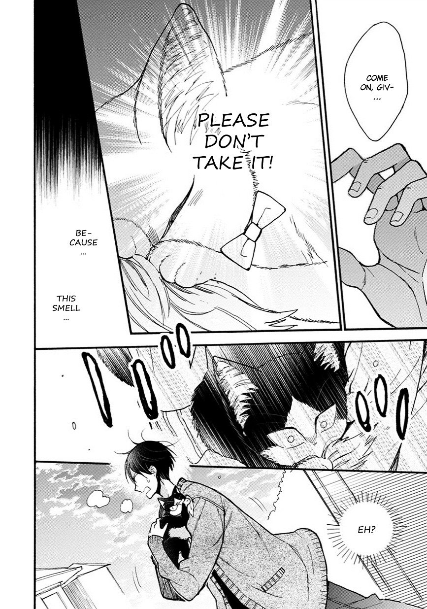 Page 13 of Chapter 8.5