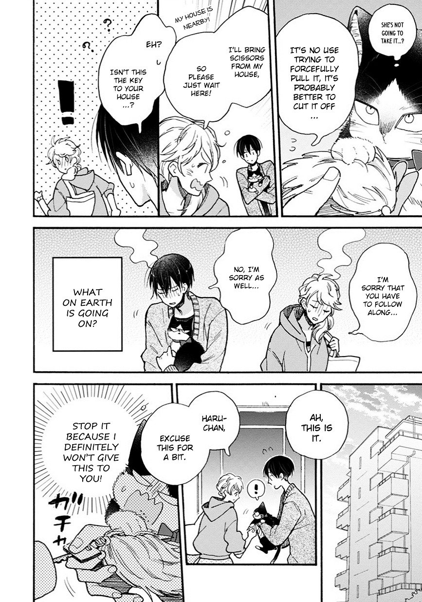 Page 15 of Chapter 8.5
