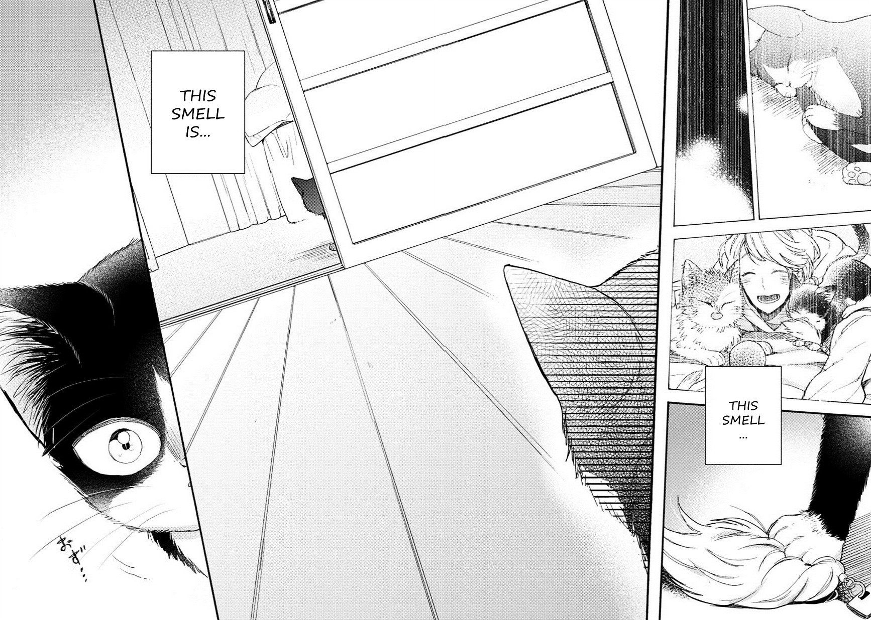 Page 17 of Chapter 8.5