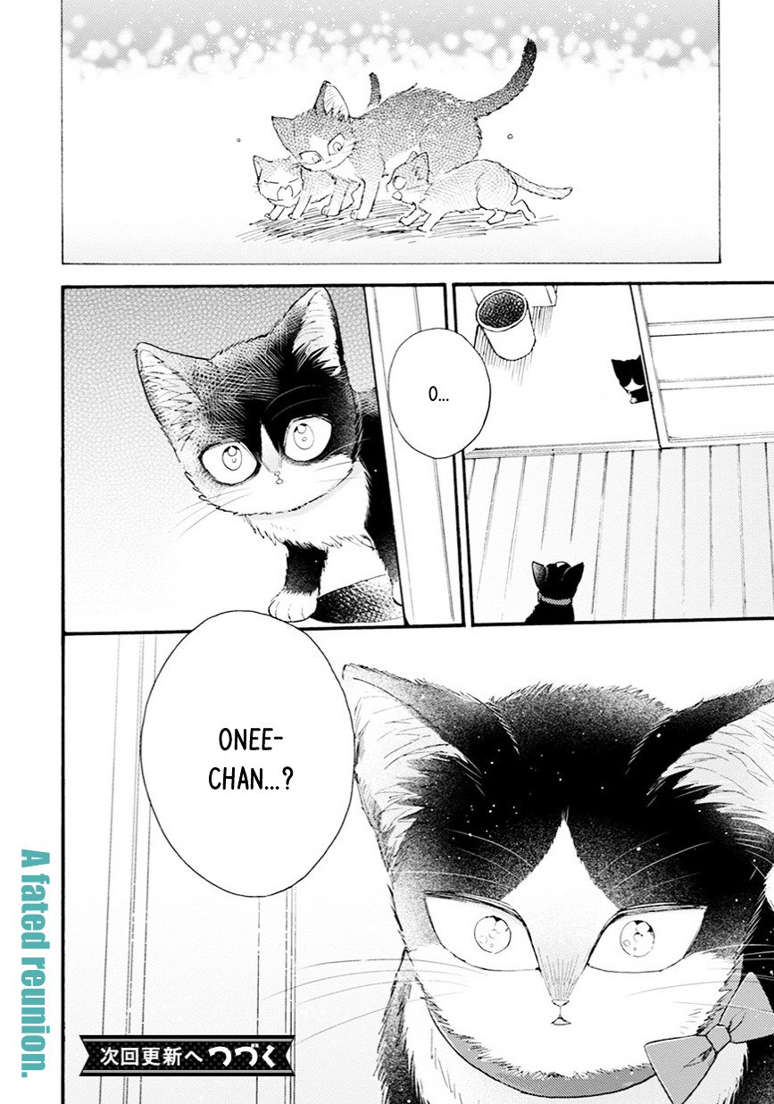 Page 18 of Chapter 8.5
